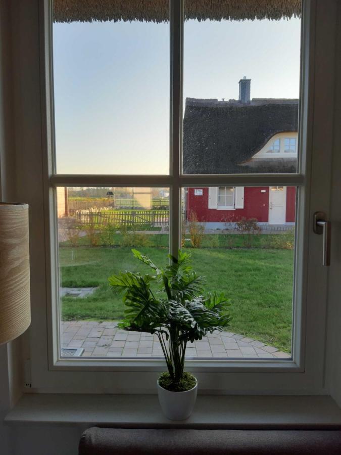 Ferienhaeuser Luv Und Lee Ovs 106 Neu 20 Zierow Buitenkant foto